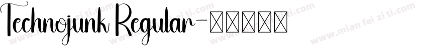 Technojunk Regular字体转换